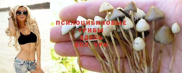 кокаин премиум Алзамай